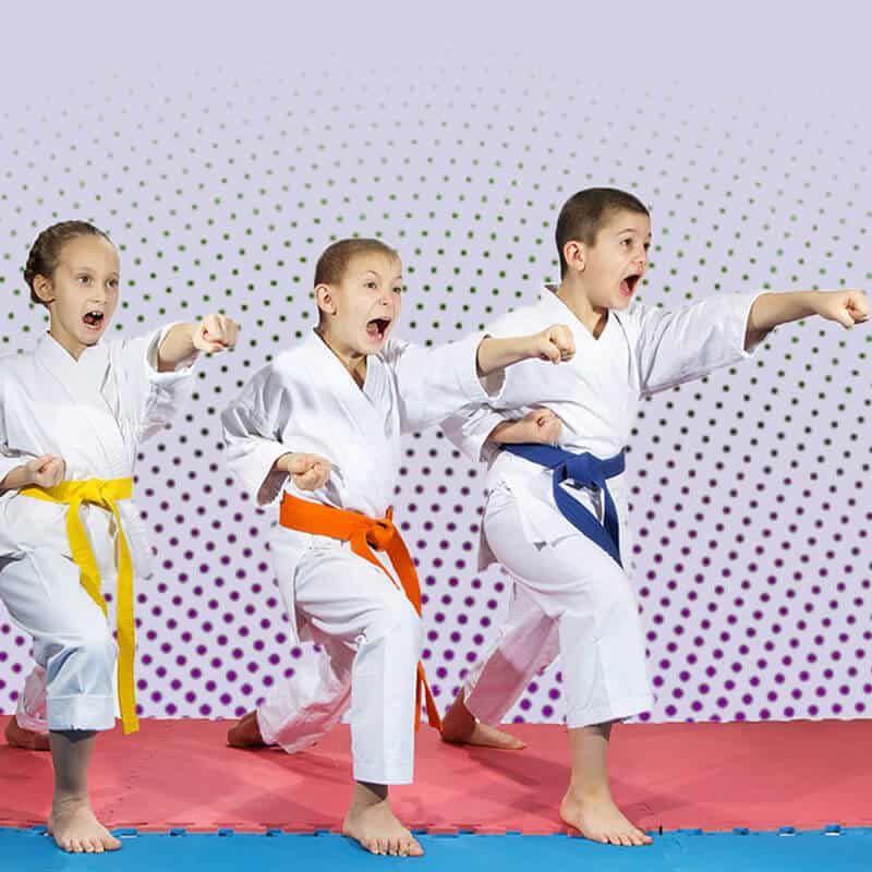 Martial Arts Lessons for Kids in Strongville OH - Punching Focus Kids Sync